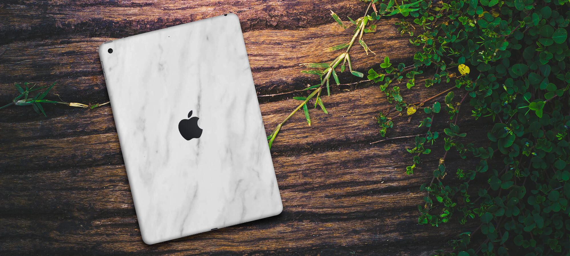 iPad 10.2  (2020, Gen 8)